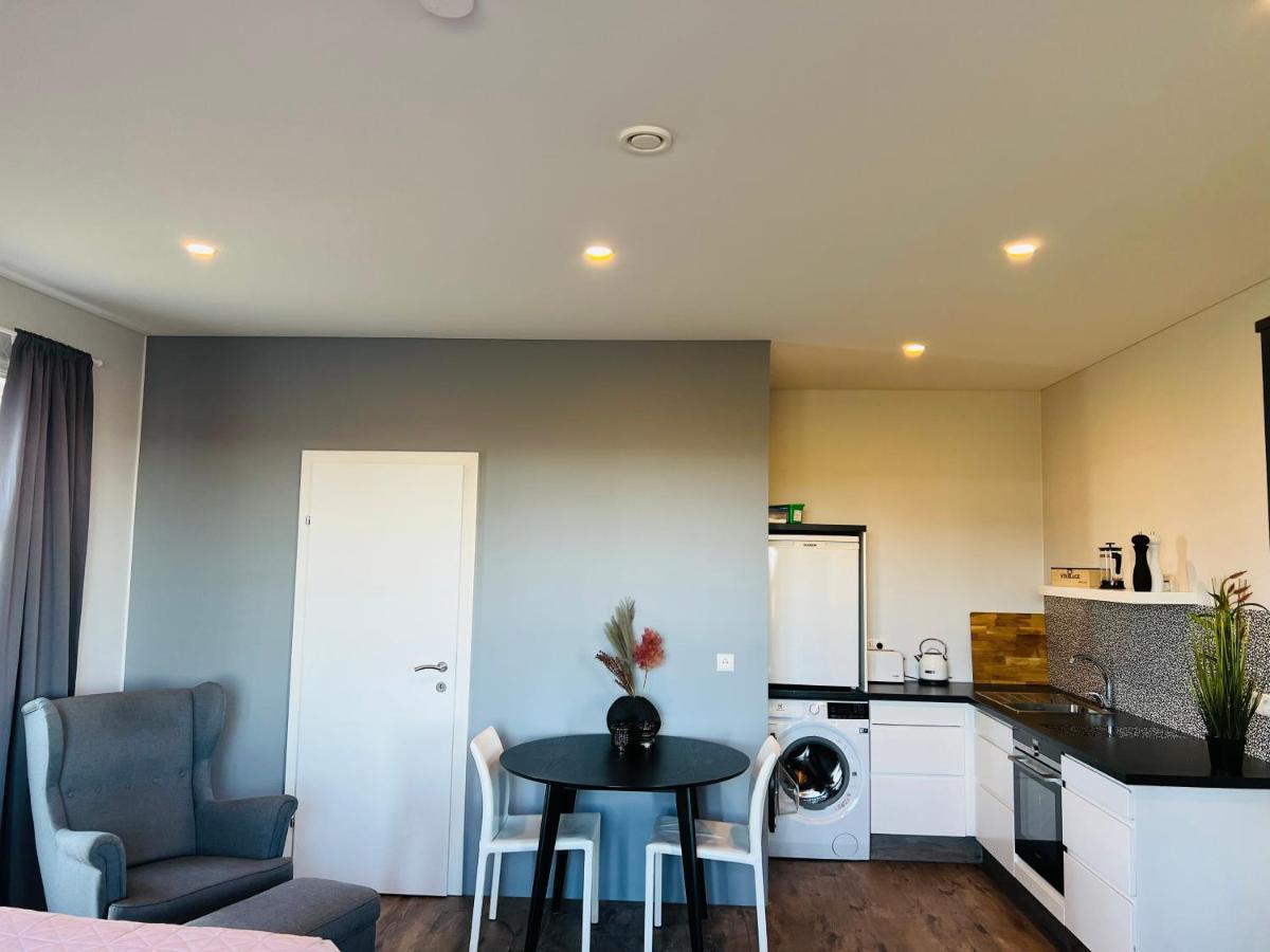 Nyibaer Studio Apartment Селфосс Экстерьер фото